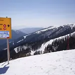 Vikendica Holiday Home In Bad Kleinkirchheim Near Ski Area